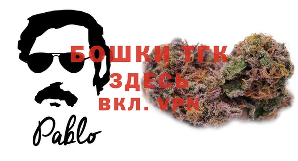 прущие грибы Арсеньев